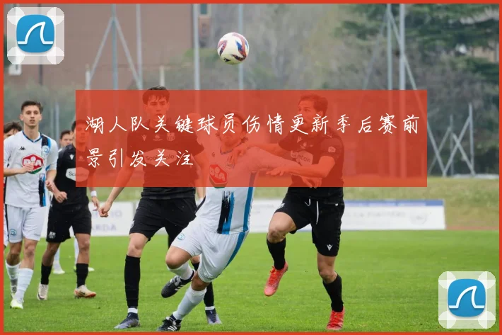 湖人队关键球员伤情更新季后赛前景引发关注