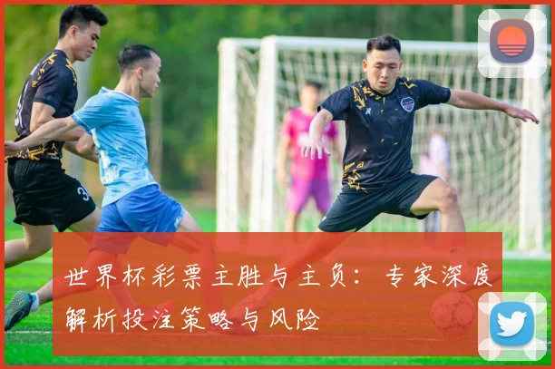 世界杯彩票主胜与主负：专家深度解析投注策略与风险