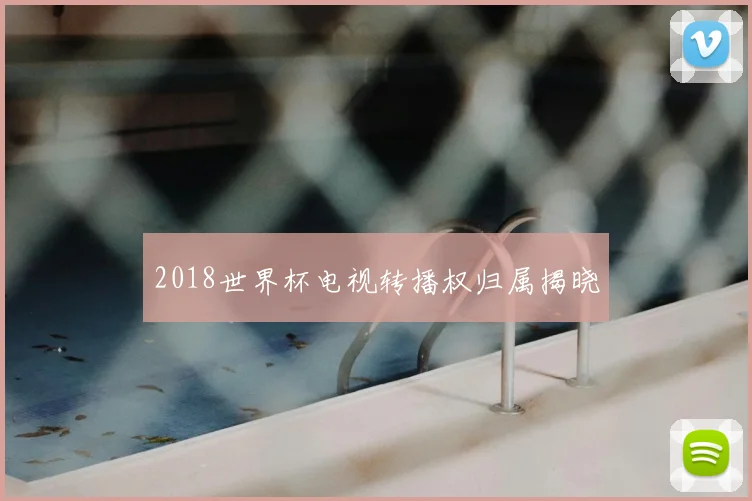 2018世界杯电视转播权归属揭晓