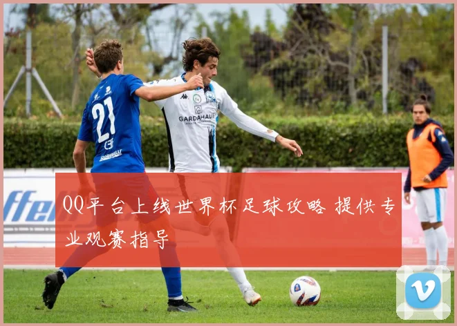 QQ平台上线世界杯足球攻略 提供专业观赛指导