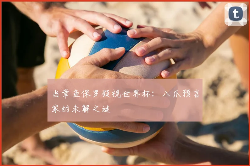 当章鱼保罗凝视世界杯：八爪预言家的未解之谜