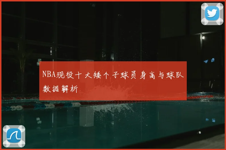 NBA现役十大矮个子球员身高与球队数据解析