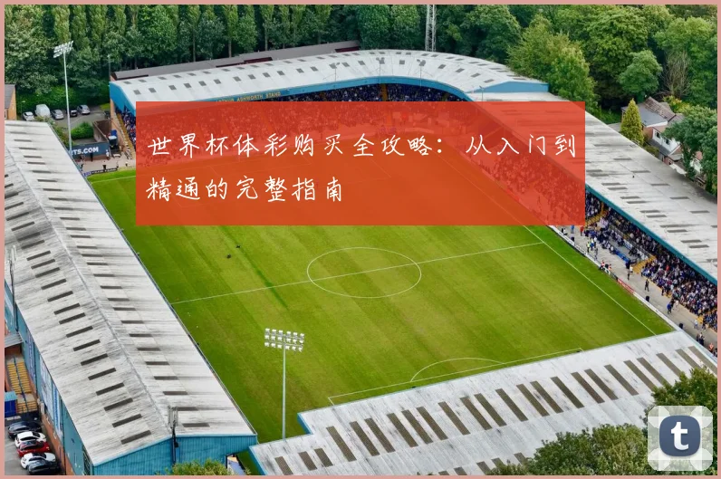 世界杯体彩购买全攻略：从入门到精通的完整指南