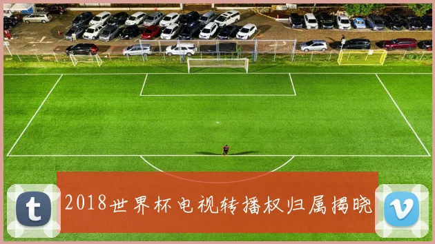 2018世界杯电视转播权归属揭晓
