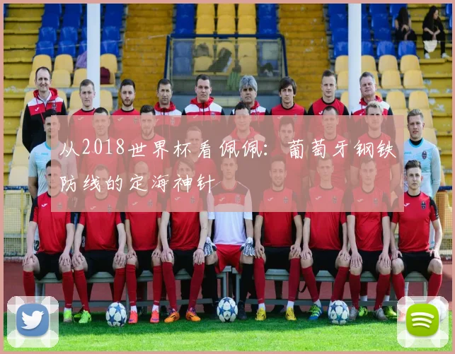 从2018世界杯看佩佩：葡萄牙钢铁防线的定海神针