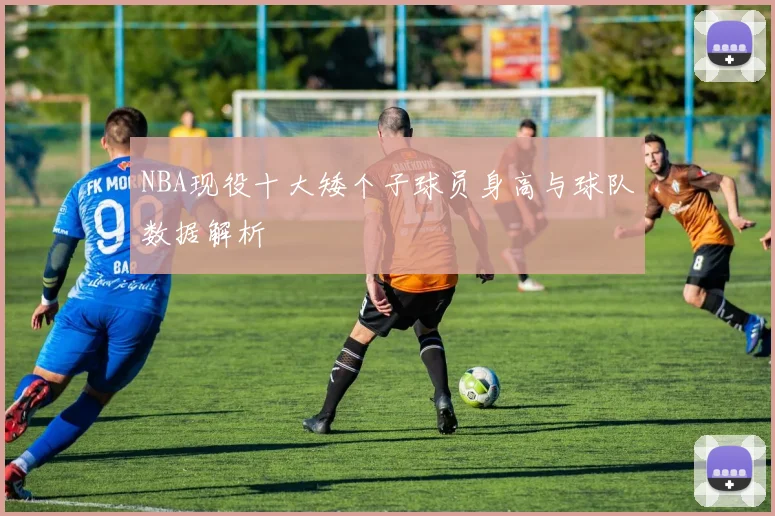 NBA现役十大矮个子球员身高与球队数据解析
