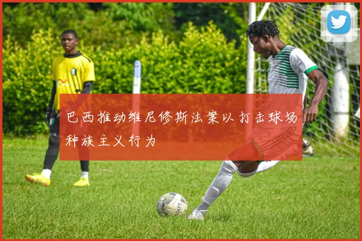 巴西推动维尼修斯法案以打击球场种族主义行为