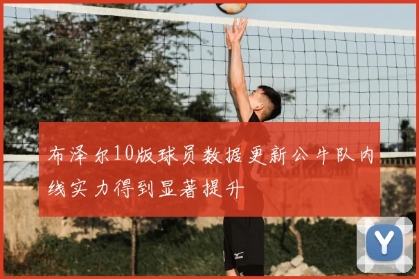 布泽尔10版球员数据更新公牛队内线实力得到显著提升