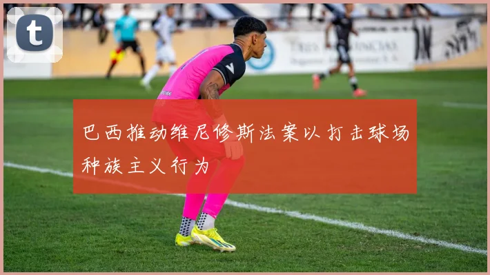 巴西推动维尼修斯法案以打击球场种族主义行为