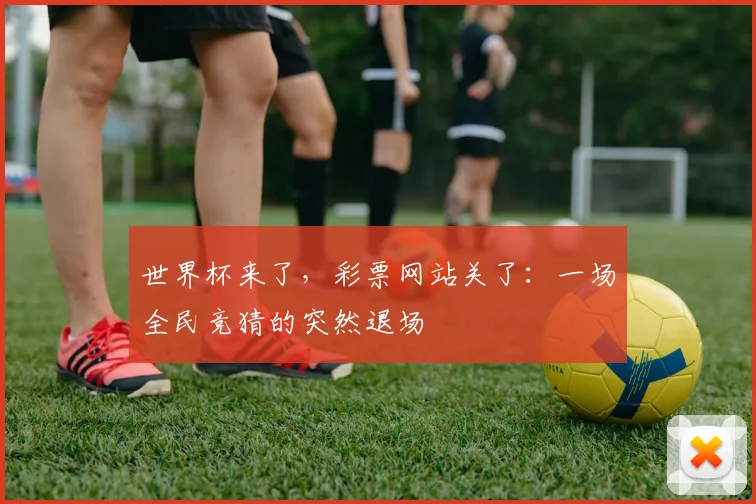 世界杯来了，彩票网站关了：一场全民竞猜的突然退场